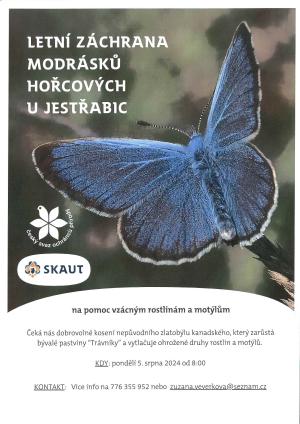 skaut